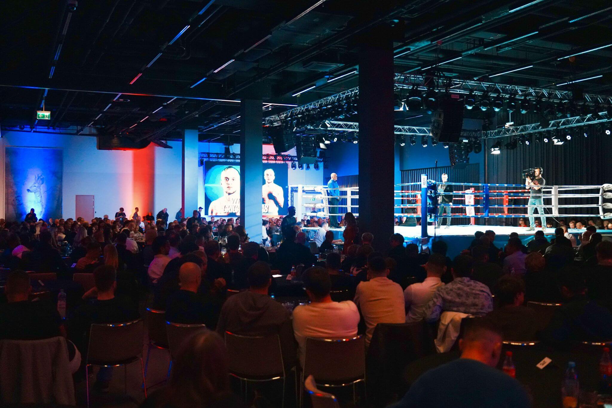 Dream Boxing Fight Night
